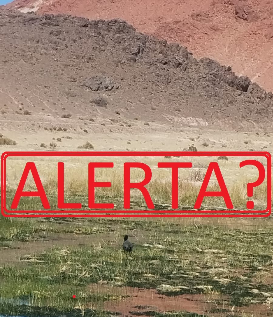 Alerta roja en el abaucán: "El derrame tóxico ya llegó al río y avanza hacia Tinogasta"