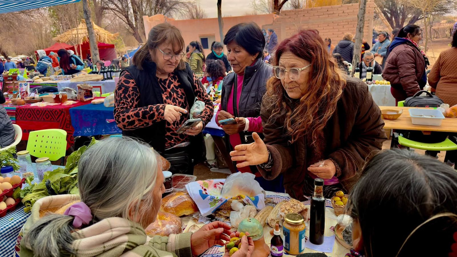 La 24 feria de semillas nativas y criollas reunió a productores y familias en médanitos